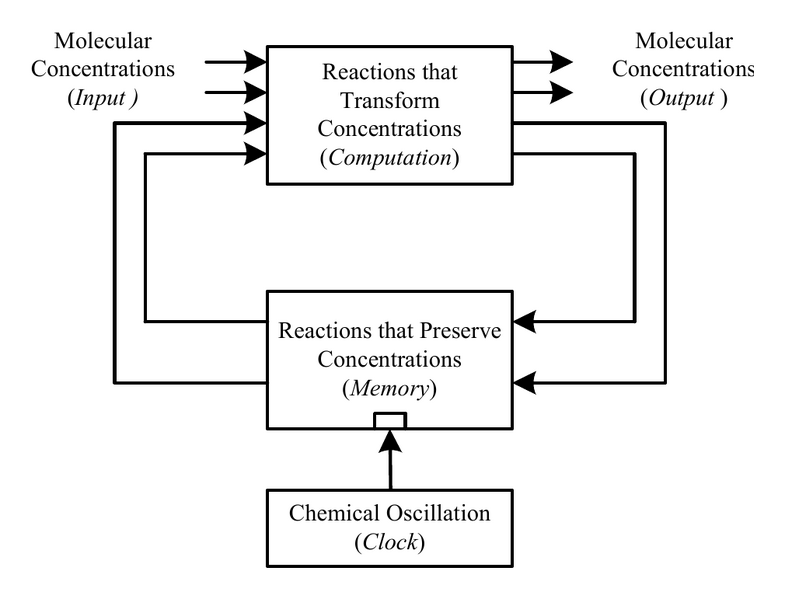 File:Synchronous Sequential Molecular System.png